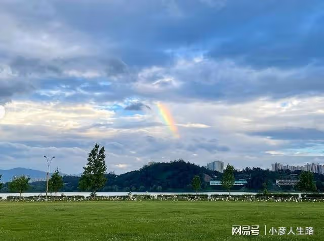 孫藝珍懷上雙胞胎?配四葉草和彩虹圖:祝你度過好運的日子