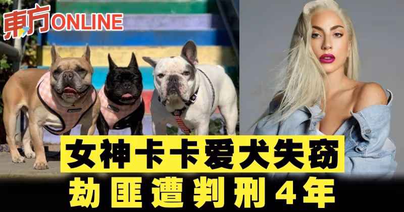 女神卡卡愛犬失竊　劫匪遭判刑4年