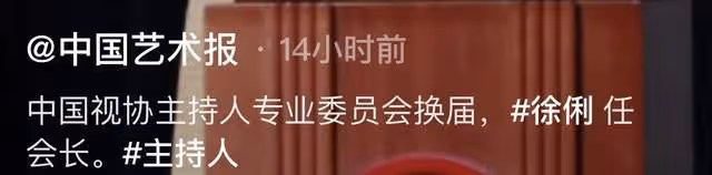 眾多央視名嘴齊聚！61歲徐俐升職成會長，剪超短髮氣質大變認不出