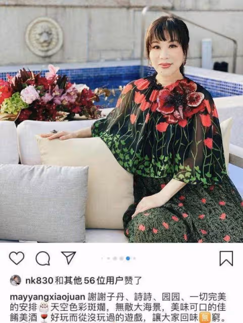 甄子丹海邊上億豪宅曝光!沙發價格昂貴高達四十萬,眺望海景一覽無余,育有一兒一女家庭幸福:是真正的人生贏家