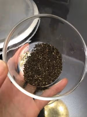 咬一口奶茶！「港式奶茶凍x紅茶蛋糕卷」