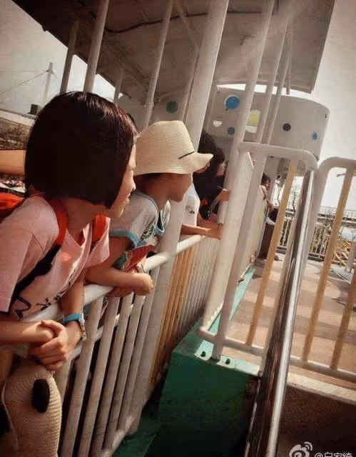 9歲替父還債2千多萬,25歲被丈夫背叛,負債6百萬,今終遇良人,網贊:否極泰來