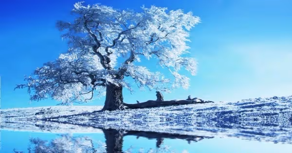 爸媽逼我娶,請對象吃了一頓海鮮後分手了!事後爸媽卻誇我做得漂亮