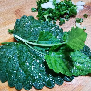 巴適得板的四川豆花，耙耙菜蘸水