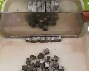 紅豆薏米六味祛濕膏（糕）