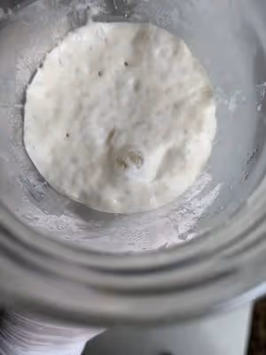 歐包鄉村麵包超完整步驟（不鏽鋼盆子）