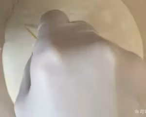歐包鄉村麵包超完整步驟（不鏽鋼盆子）