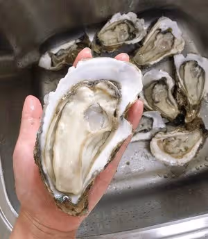 蒜蓉烤生蚝（萬能好吃的蒜蓉辣椒醬）