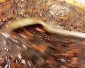 黑糖姜棗膏/姜棗塊