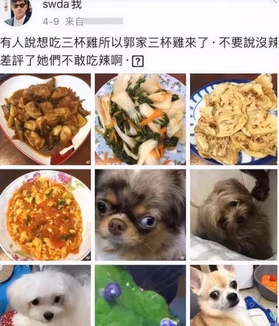3年2胎後,才發現,嫁給向佐竟是郭碧婷最好的選擇