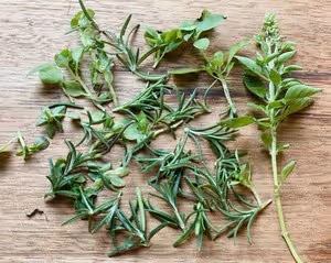 Fougasse                                普羅旺斯香草麵包