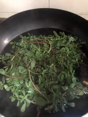 馬齒莧炒雞蛋
