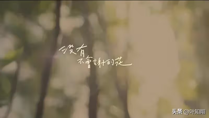 兩個人的感情,不是你覺得可以就可以的