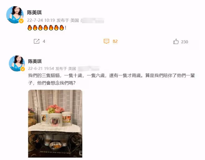 《新白娘子傳奇》播出30年,陳美琪探望88歲導演,63歲氣質仍出眾
