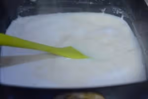 好吃的豆花自己做（破壁機版）