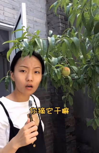 網紅瘋產姐妹正式解散!4千萬粉絲帳號歸屬權曝光,曾年賺5000萬