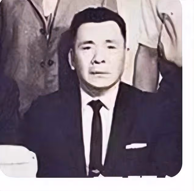 拯救丁佩,4年後再娶陳嵐,向華強的人生到底有多精彩?