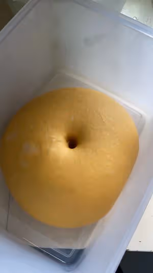 南瓜吐司