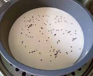 秒殺‼️街邊大米糕♨️綿軟Q彈巨好吃   【無麵粉】附細節視頻【消耗剩米飯】