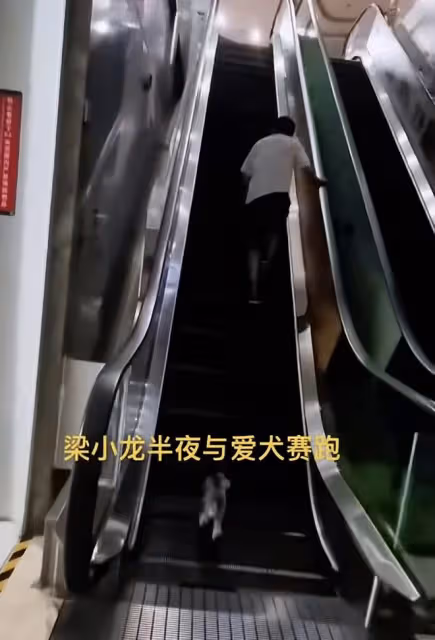 梁小龍定居內地惹爭議!在電梯上與狗比賽跑步,四處商演表演功夫