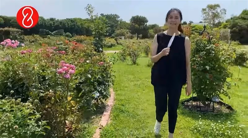 49歲蒙嘉慧被鄭伊健「嫌肥」　疑借生日越洋祝福阿Mo