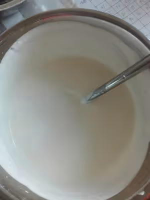 8寸原味酸奶慕斯蛋糕
