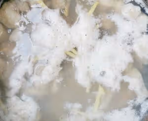 小朋友愛吃的不易翻車的番茄巴沙魚