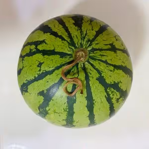 西瓜酸奶雪糕🍉
