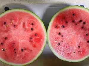 西瓜酸奶雪糕🍉
