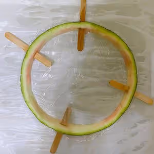西瓜酸奶雪糕🍉