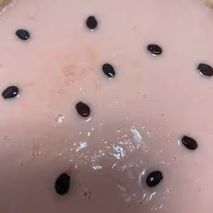 西瓜酸奶雪糕🍉