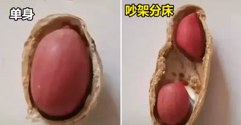 網友用花生呈現「人的一生」，從結婚到終老，笑著笑著就哭了。