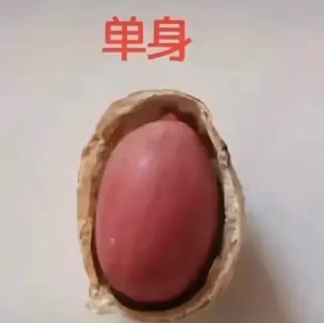 網友用花生呈現「人的一生」,從結婚到終老,笑著笑著就哭了。