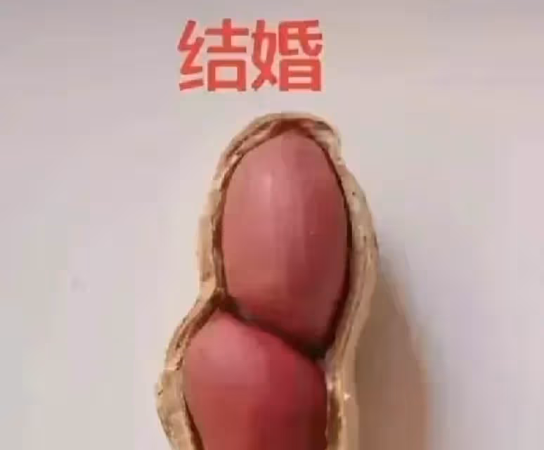 網友用花生呈現「人的一生」,從結婚到終老,笑著笑著就哭了。