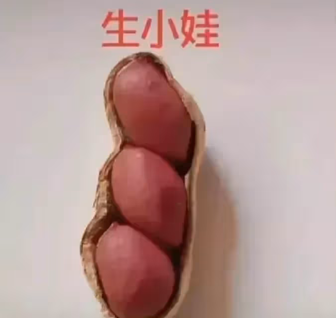 網友用花生呈現「人的一生」,從結婚到終老,笑著笑著就哭了。