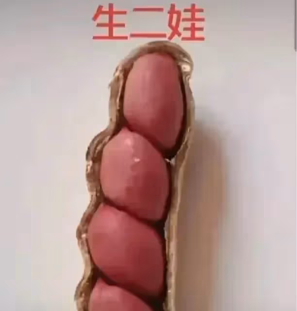 網友用花生呈現「人的一生」,從結婚到終老,笑著笑著就哭了。