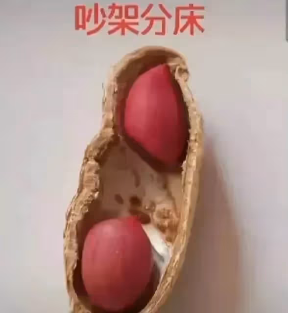 網友用花生呈現「人的一生」,從結婚到終老,笑著笑著就哭了。