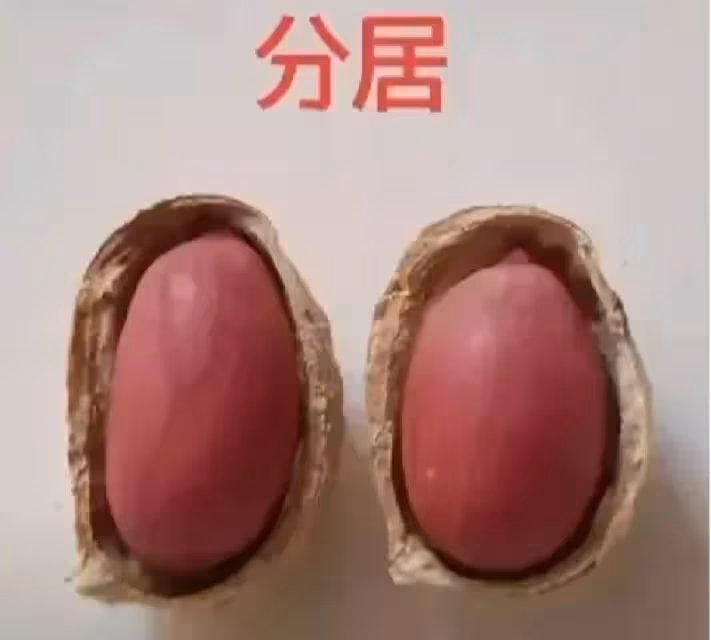 網友用花生呈現「人的一生」,從結婚到終老,笑著笑著就哭了。