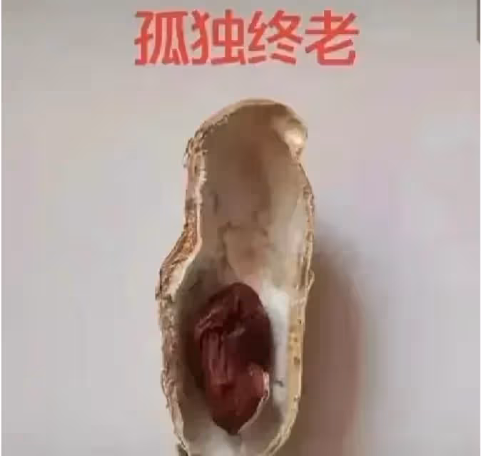 網友用花生呈現「人的一生」,從結婚到終老,笑著笑著就哭了。