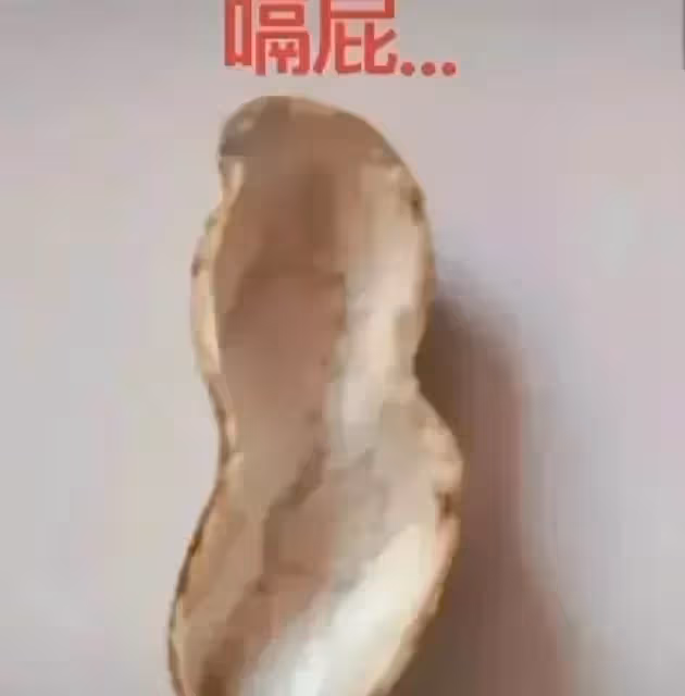網友用花生呈現「人的一生」,從結婚到終老,笑著笑著就哭了。