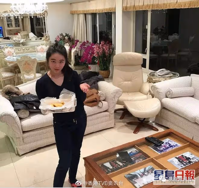 突發!6號林泳怡以學業為由退選港姐,15號張光怡否認有高層撐腰
