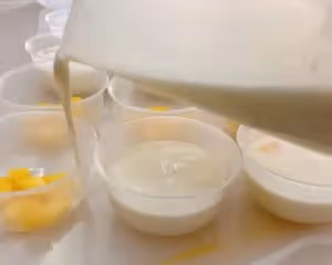 牛奶芒果布丁（白涼粉版）