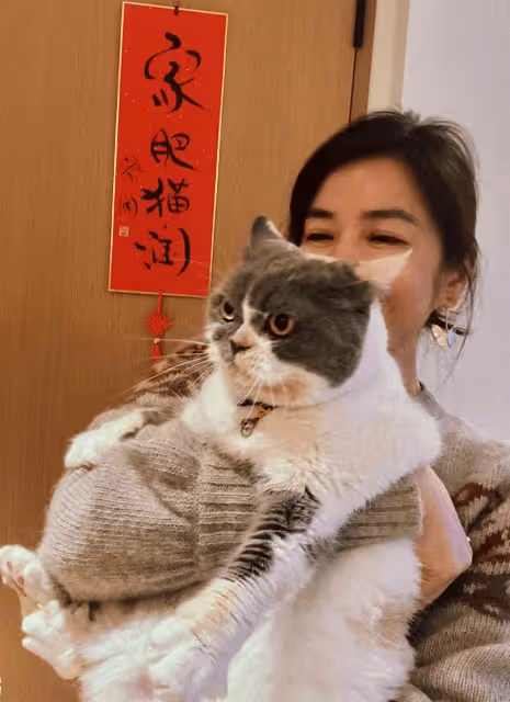 坐擁4億房產的鐘楚紅要復出了，丈夫病逝已15年，拒絕戀愛和再婚