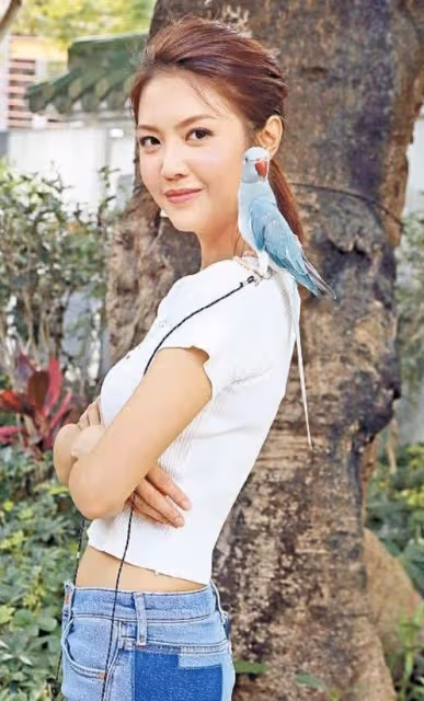 罕見！TVB女星拍劇帶自家鸚鵡進組，主動為其爭取角色和特寫鏡頭