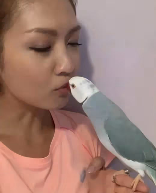 罕見！TVB女星拍劇帶自家鸚鵡進組，主動為其爭取角色和特寫鏡頭