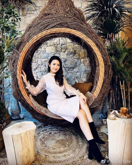 罕見！TVB女星拍劇帶自家鸚鵡進組，主動為其爭取角色和特寫鏡頭