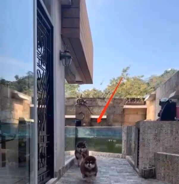 陳百祥過億豪宅曝光!天台可容納上百人,屋外巨型魚缸十分拉風,名副其實的人生贏家