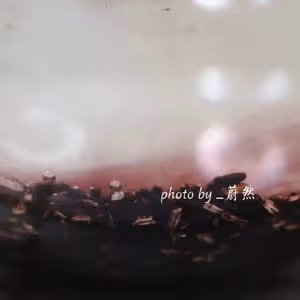 紫米軟歐