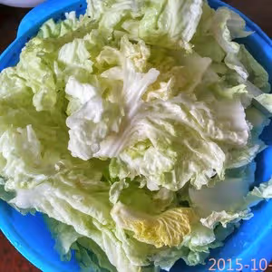 魚頭白菜豆腐湯