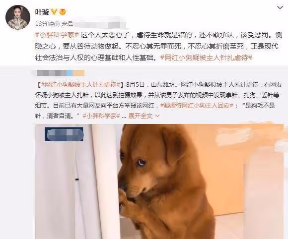 中國網紅被疑「為漲粉虐狗」　葉璇怒斥：這個人太噁心